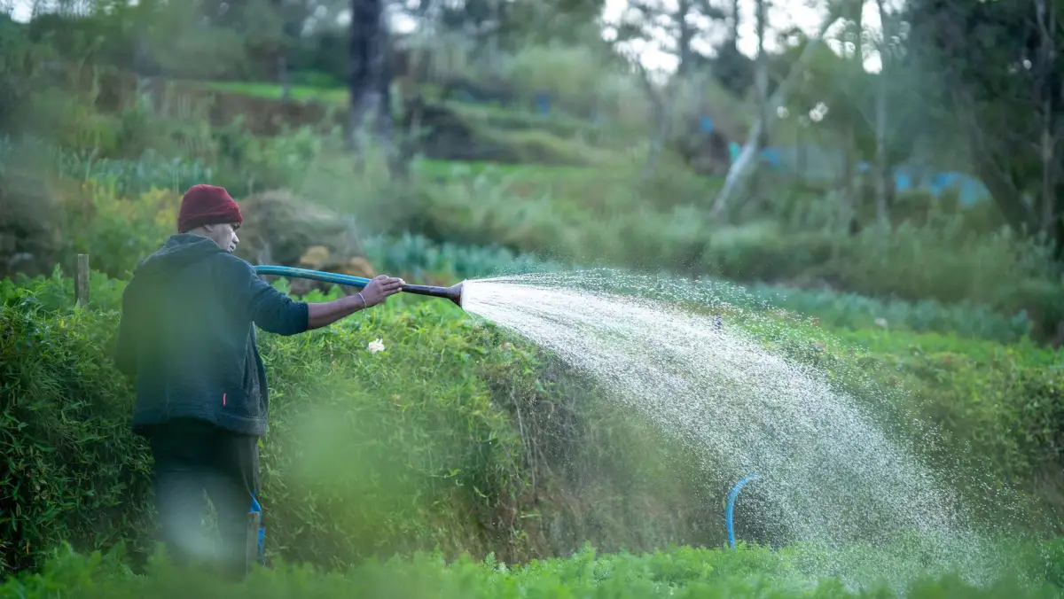 Application d'un traitement hydrofuge au pulvérisateur sur une toiture